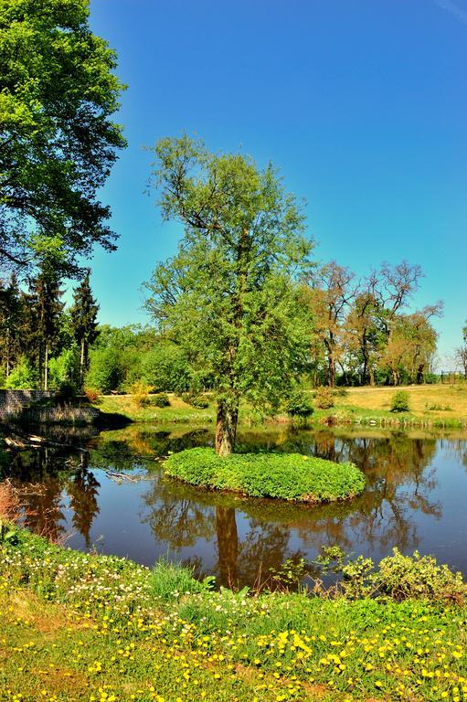 Palac Jablonowo Bed and Breakfast Ujście Buitenkant foto